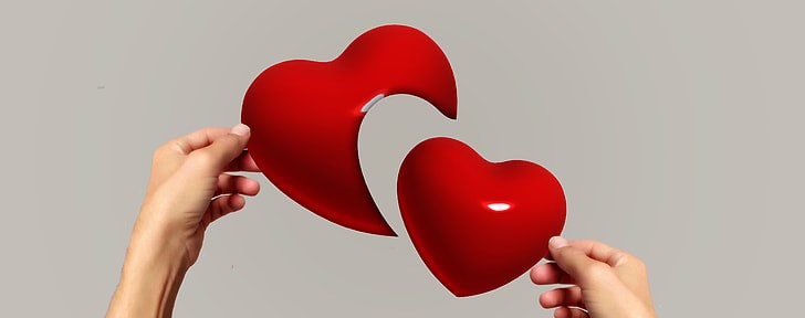 Heart